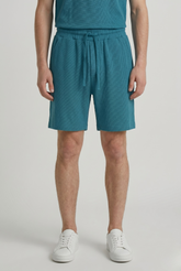 Jacquard Regular Fit shorts