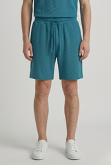 Jacquard Regular Fit shorts